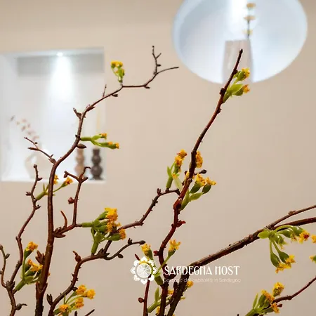 Lägenhet Sardegna Host Il Nido *